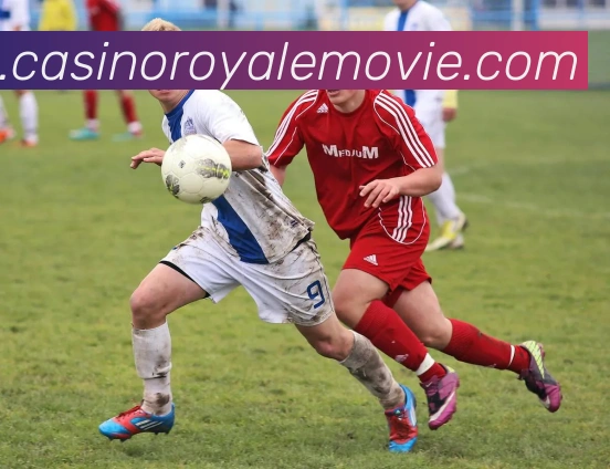 亚娱体育服务体系